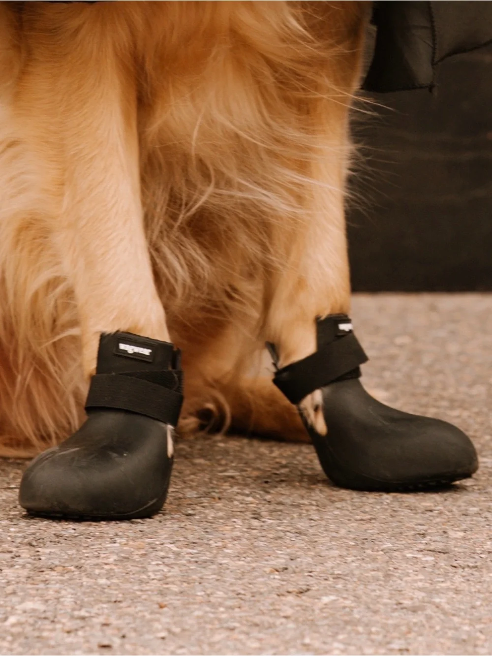 Wagwellies® Dog Boots by Wagwear — Black